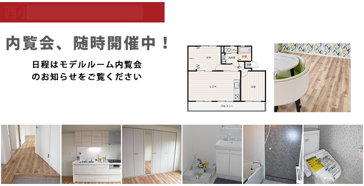 西小中台5-8-402